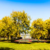 Owens Park Tennis Courts